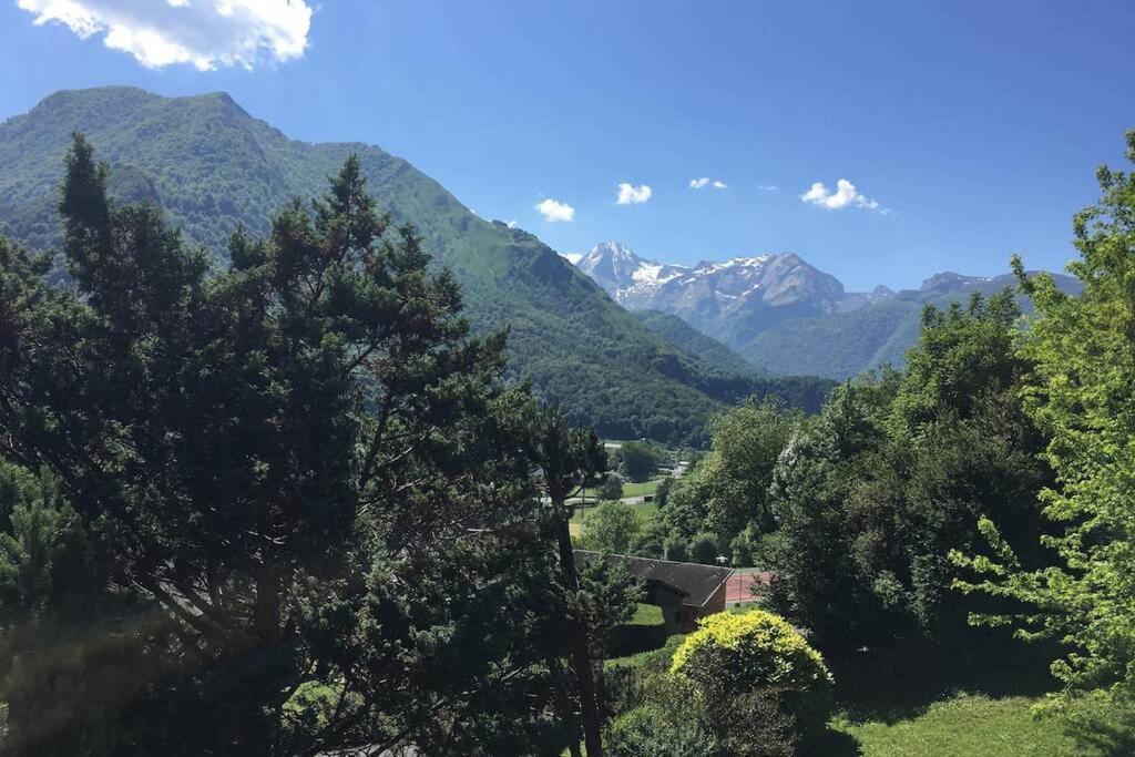 Chalet De L'Ours Brun, Gite 3 Etoiles Gere-Belesten Εξωτερικό φωτογραφία